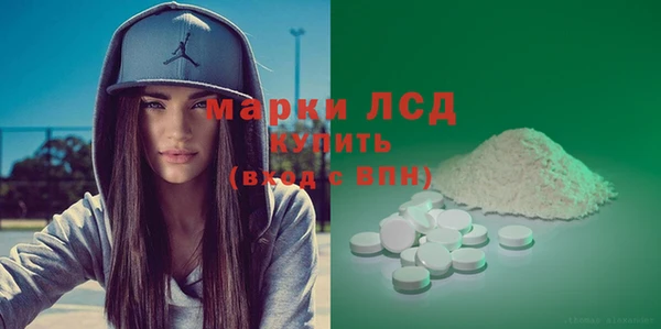 ПСИЛОЦИБИНОВЫЕ ГРИБЫ Осинники
