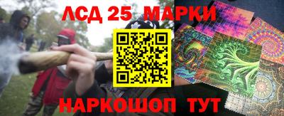 индика Заводоуковск