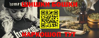 индика Заводоуковск