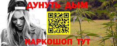 индика Заводоуковск