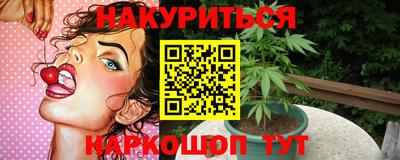 индика Заводоуковск
