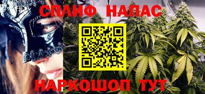 стафф Заволжье
