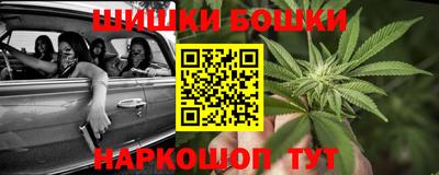 стафф Заволжье