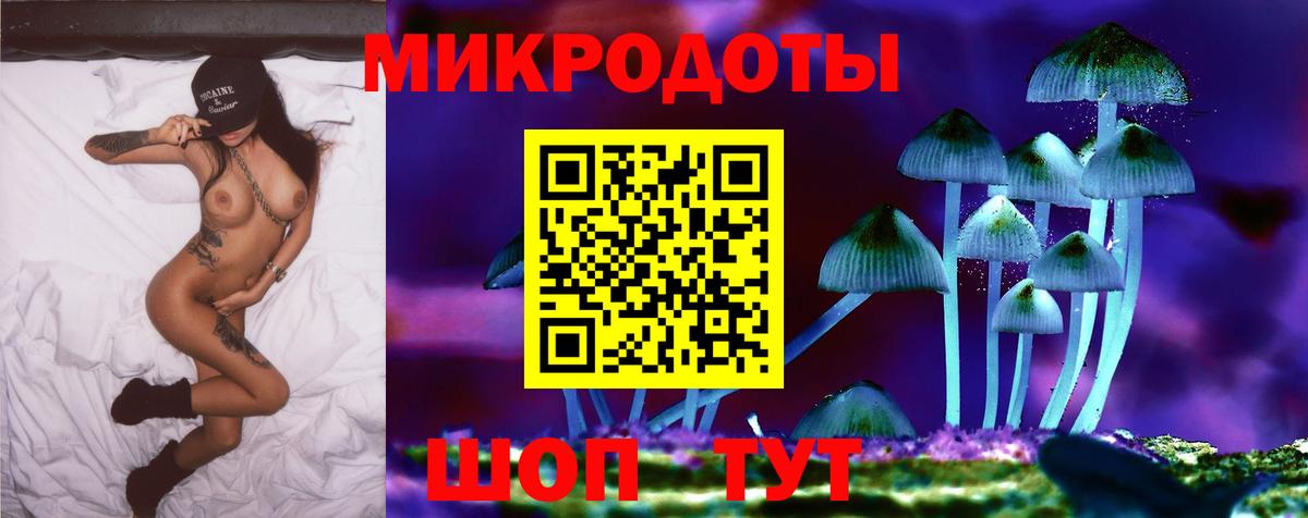 Галлюциногенные грибы Psilocybe Ялта