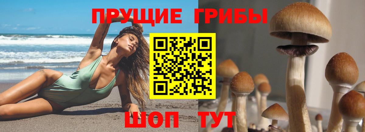 Ялта  Псилоцибиновые грибы Psilocybe  Вход с VPN 